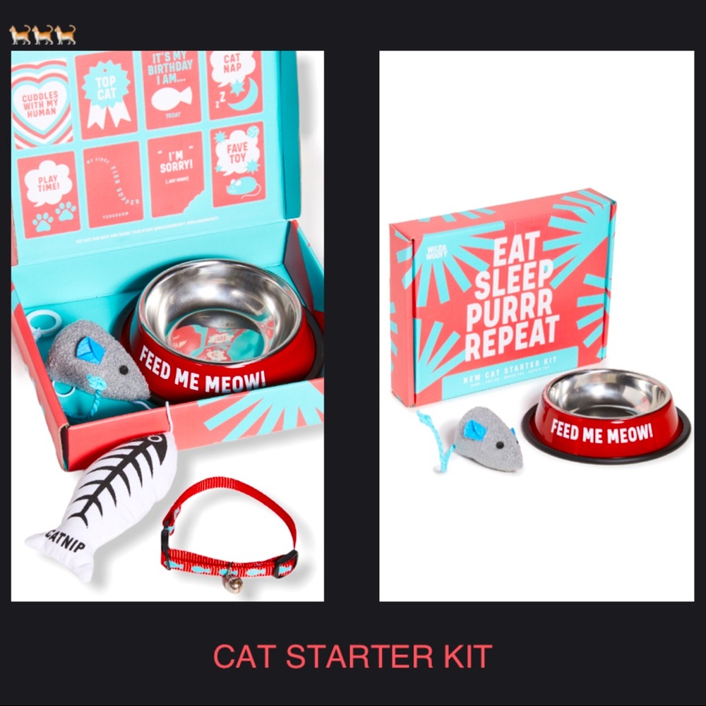 ⭐️HP⭐️ EAT SLEEP PURRR REPEAT New Cat Starter Kit